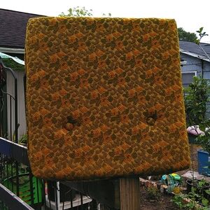 1960s vintage couch cushion